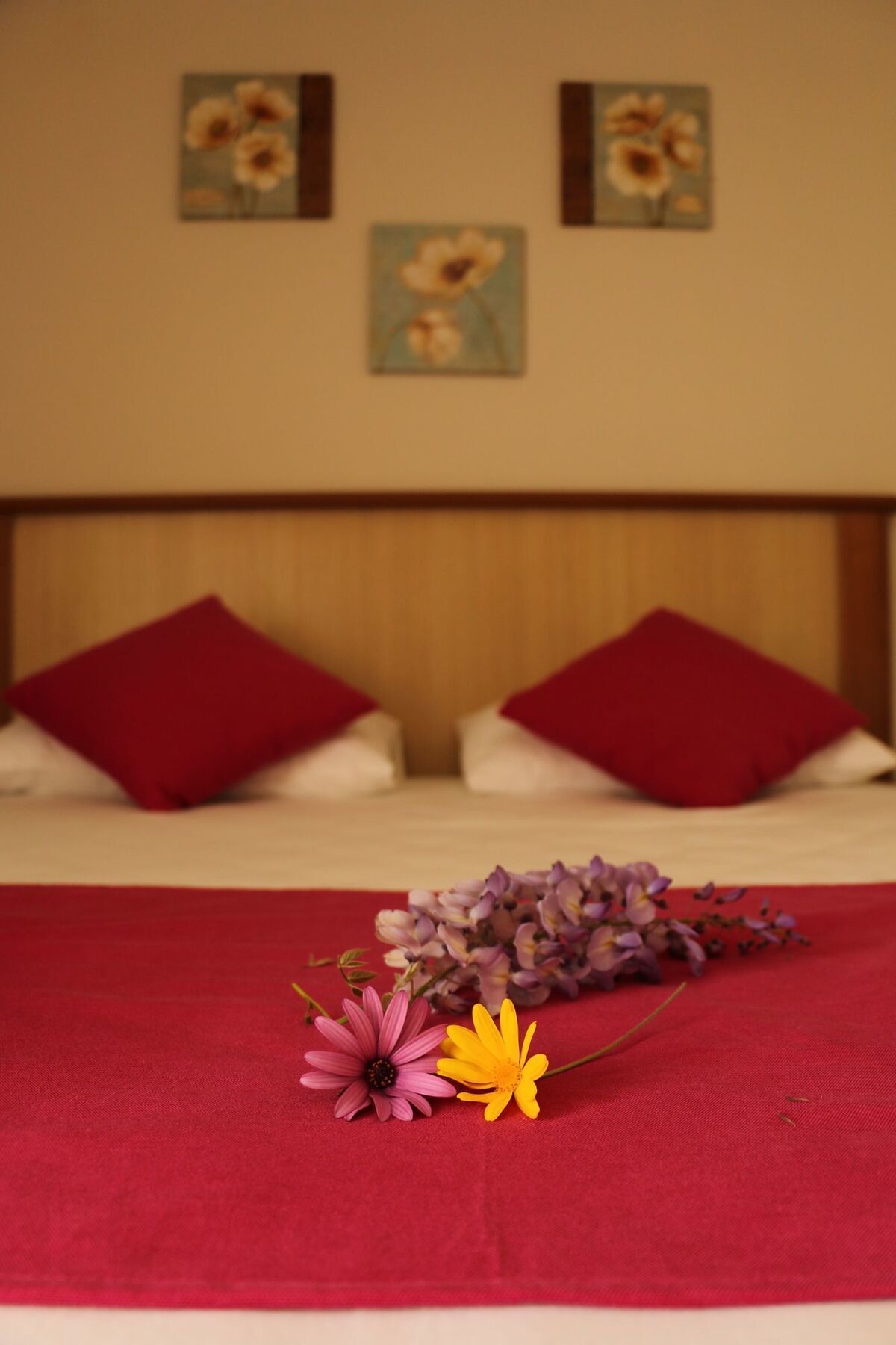 Cunda Sir Hotel Аявали Екстериор снимка